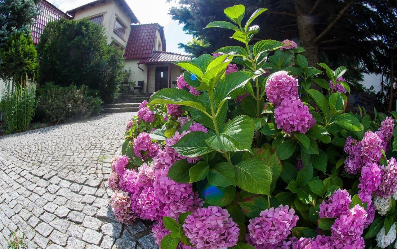 Villa Jasmin Zielona Góra Extérieur photo